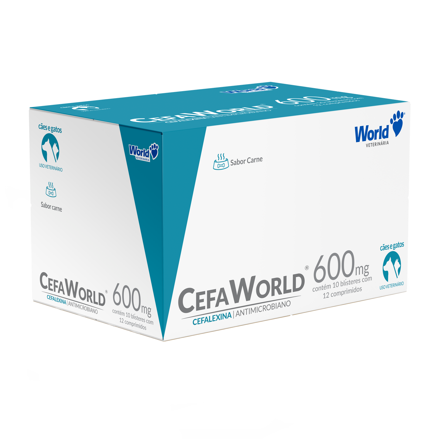 CefaWorld