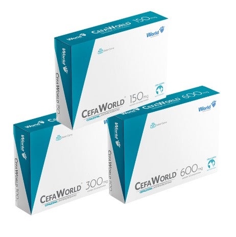 CefaWorld